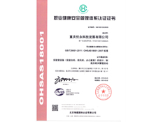 重庆海角官网首页登录入口设计